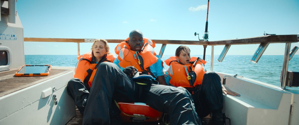 L&rsquo;Année du requin