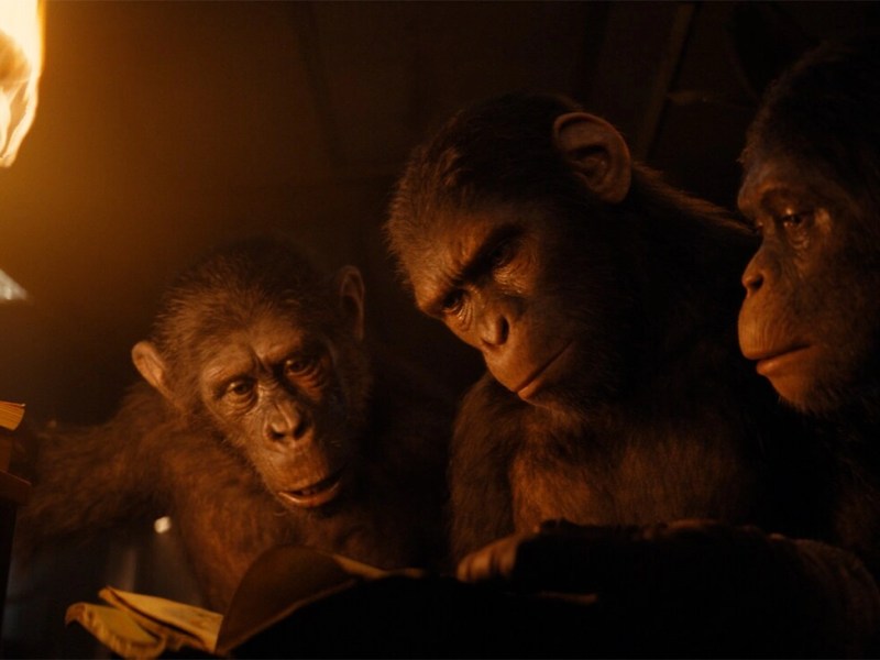 La Planète des Singes : le Nouveau&nbsp;Royaume